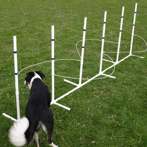 Free Agility Training Tips from 