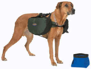 Backpack for dogs to carry online