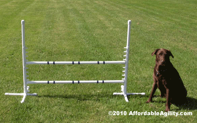 Dog agility free standing competition adjustable jumps