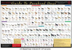  Breed Chart on Features More Than 145 Breeds Currently Registered By The Akc A Useful