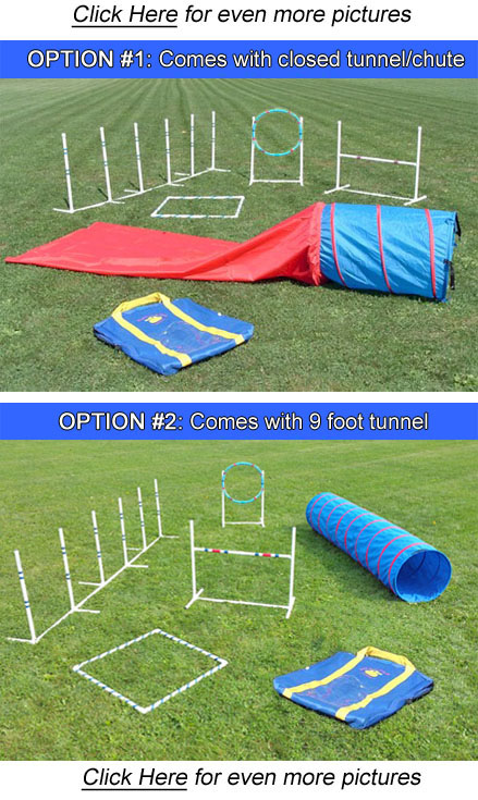 Agility in A Bag Set (dog agility 