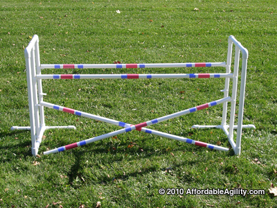 Dog agility practice double jump