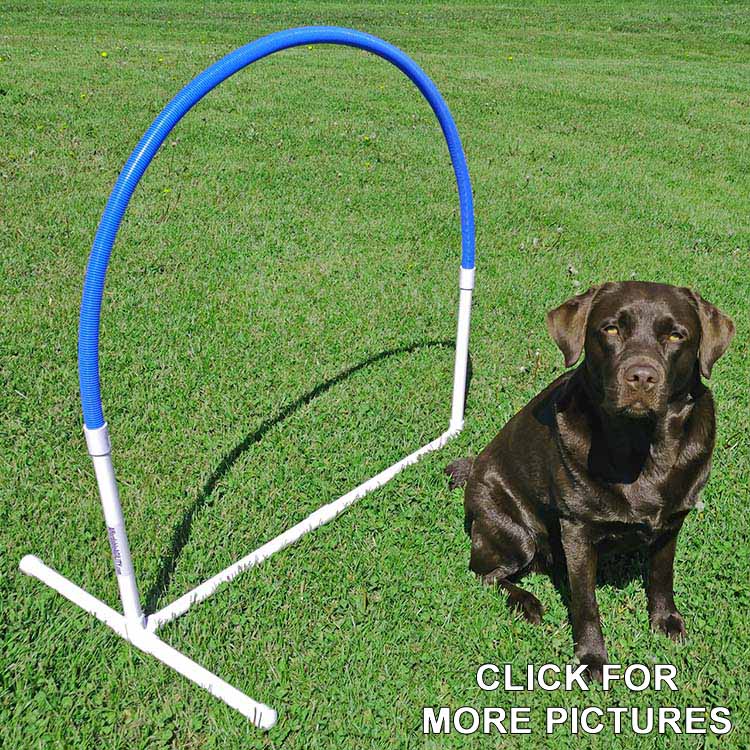 Hoopers agility sales