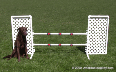 Dog agility lattice wing jump