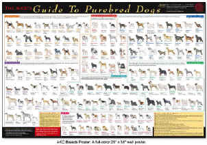 Picture Chart Of All Dog Breeds