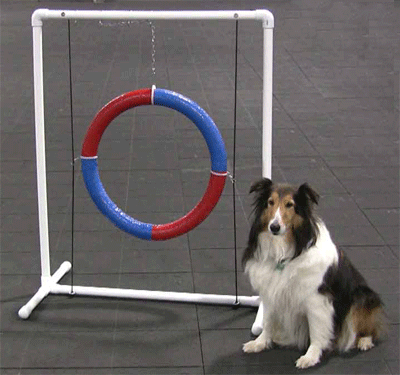 Dog agility teacup tire jump