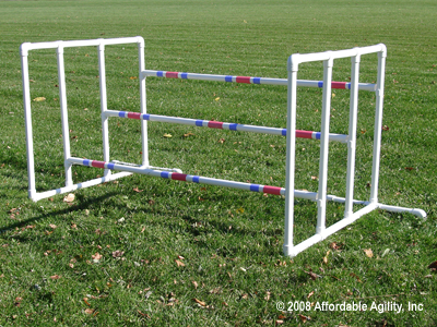 Dog agility practice triple jump